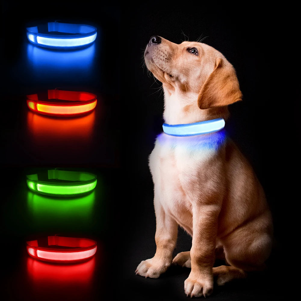 MASBRILL LED Dog Collar – Luminous Safety and Style for Your Furry Friend