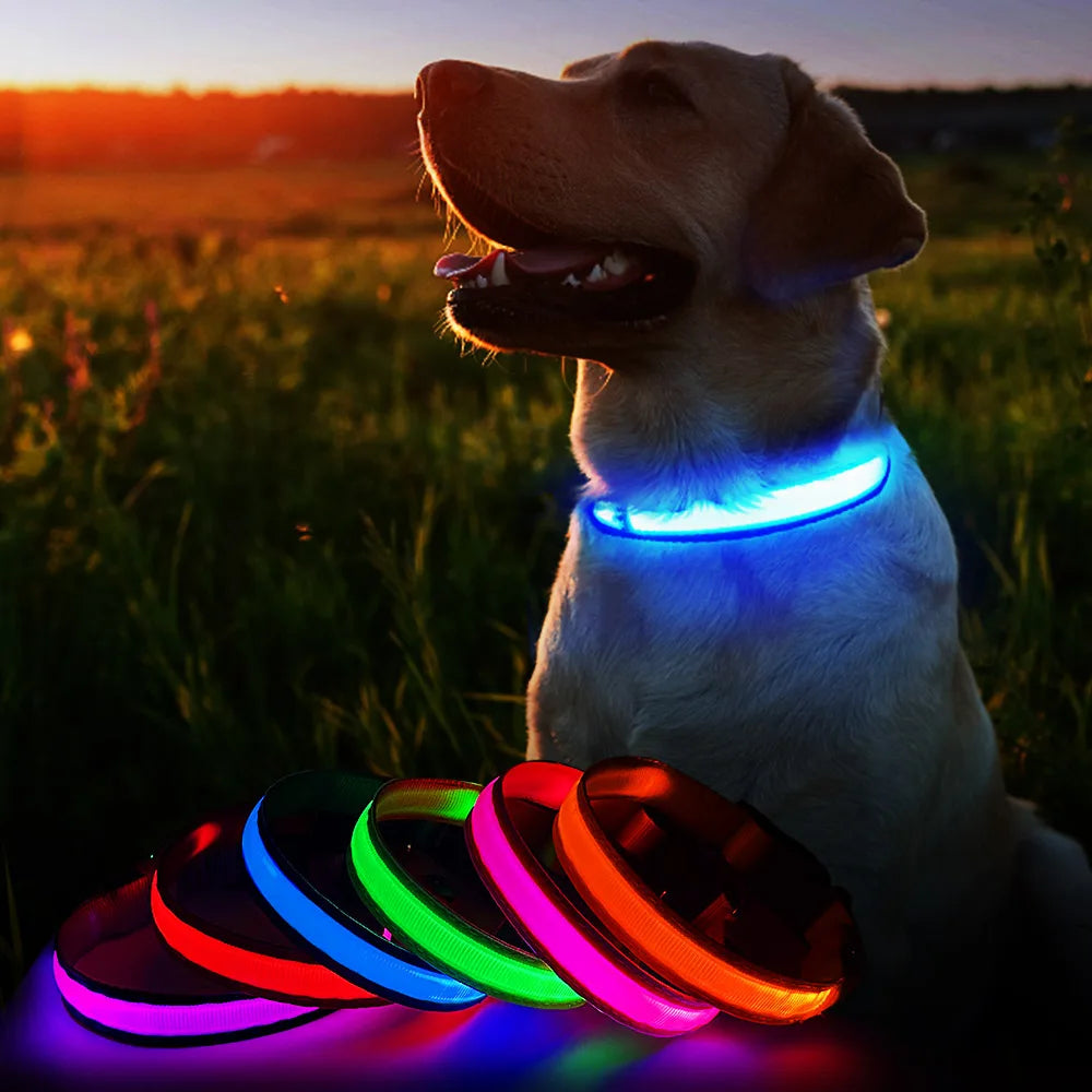 MASBRILL LED Dog Collar – Luminous Safety and Style for Your Furry Friend