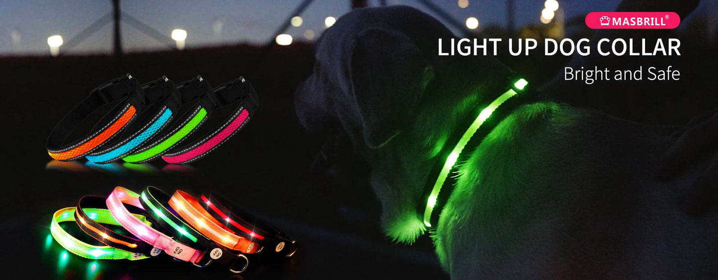 MASBRILL LED Dog Collar – Luminous Safety and Style for Your Furry Friend