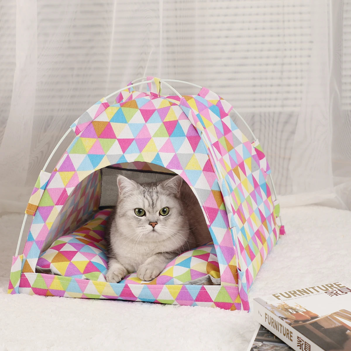 Cat Camp