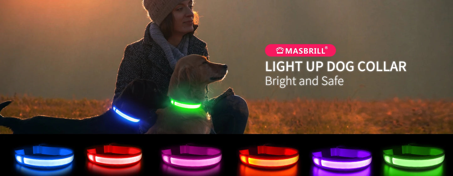 MASBRILL LED Dog Collar – Luminous Safety and Style for Your Furry Friend