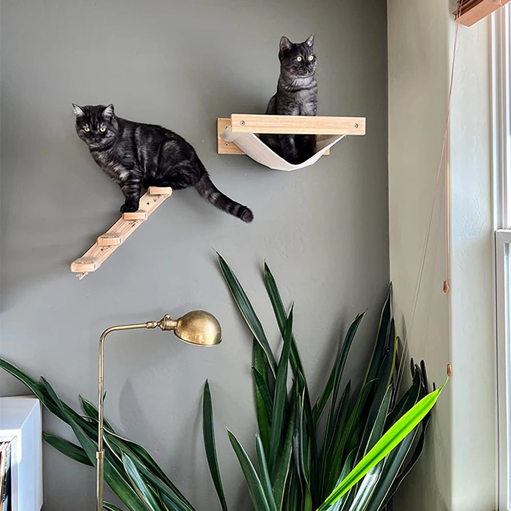 Wall-Mounted Cat Furniture Set