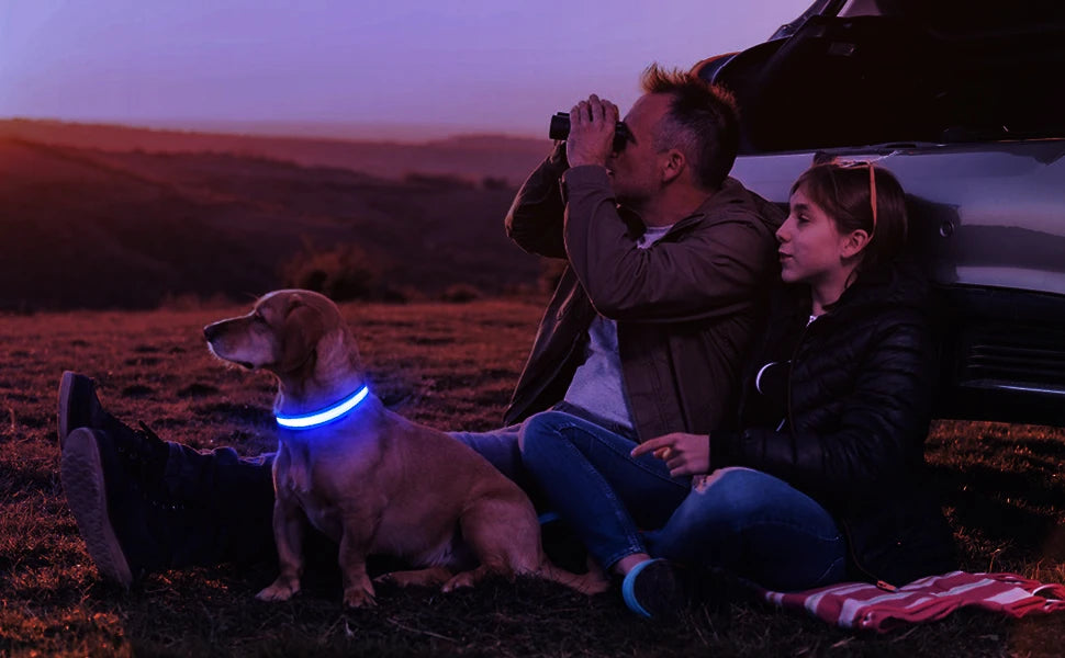 MASBRILL LED Dog Collar – Luminous Safety and Style for Your Furry Friend
