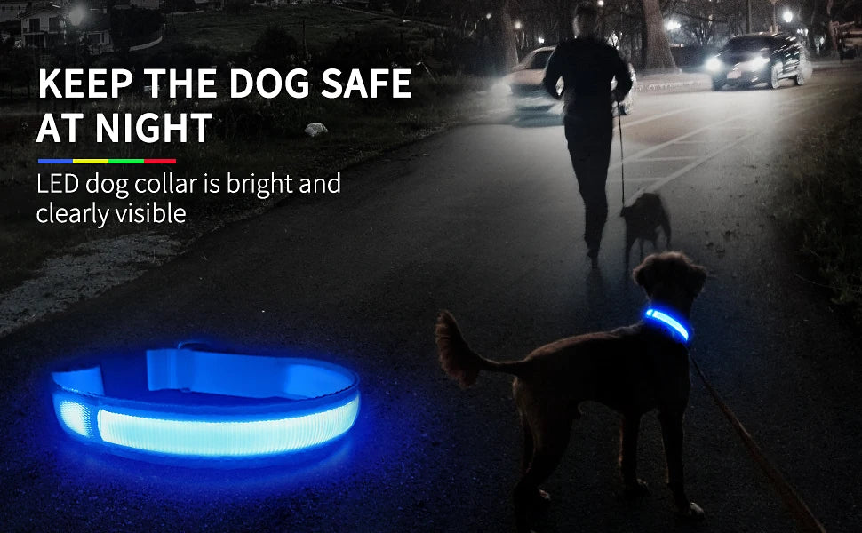 MASBRILL LED Dog Collar – Luminous Safety and Style for Your Furry Friend